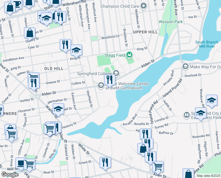 map of restaurants, bars, coffee shops, grocery stores, and more near 263 Alden Street in Springfield