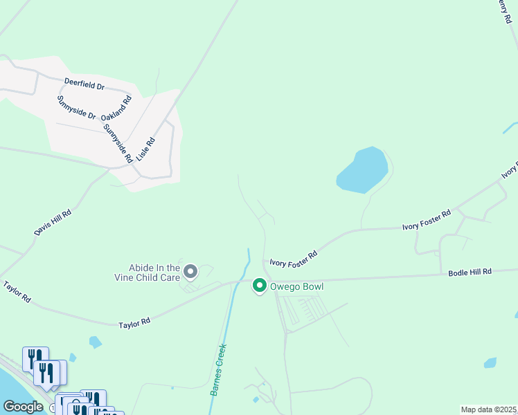 map of restaurants, bars, coffee shops, grocery stores, and more near 300 Barnes Creek Road in Owego