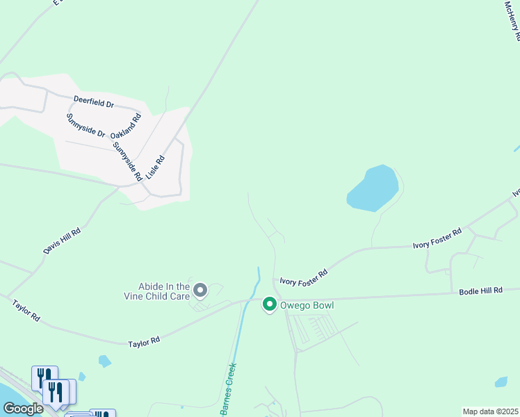 map of restaurants, bars, coffee shops, grocery stores, and more near 300 Barnes Creek Road in Owego