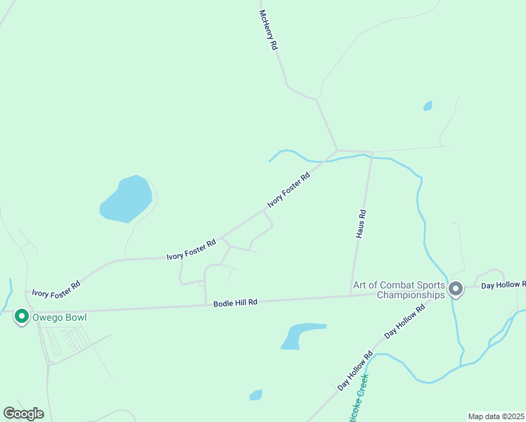 map of restaurants, bars, coffee shops, grocery stores, and more near 99 Sandlewood Drive in Owego