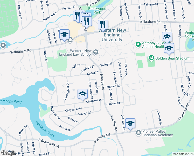 map of restaurants, bars, coffee shops, grocery stores, and more near 708 Bradley Road in Springfield