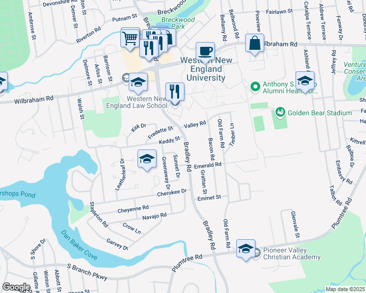 map of restaurants, bars, coffee shops, grocery stores, and more near 708 Bradley Road in Springfield