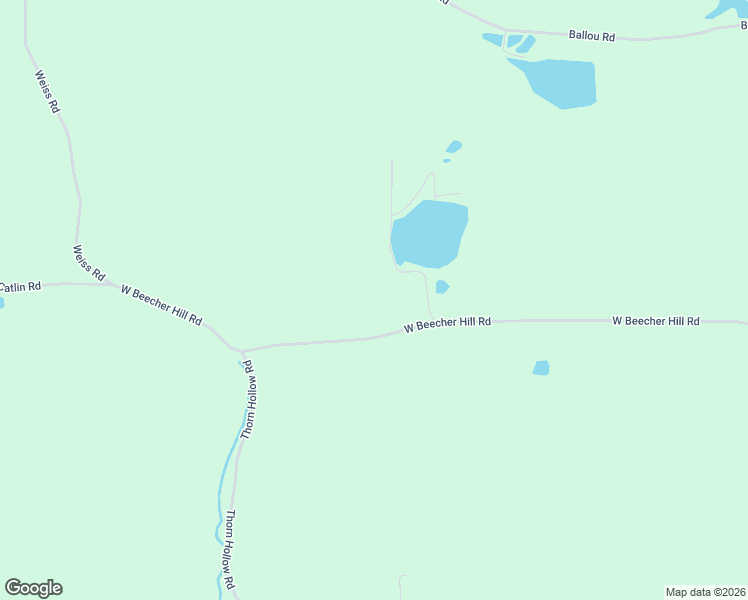 map of restaurants, bars, coffee shops, grocery stores, and more near 360 W Beecher Hill Rd in Owego