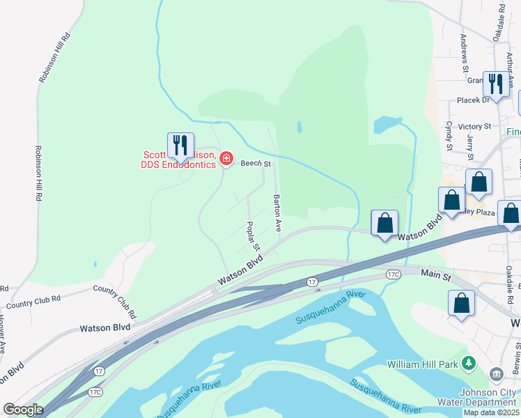 map of restaurants, bars, coffee shops, grocery stores, and more near 29 Woodland Avenue in Johnson City