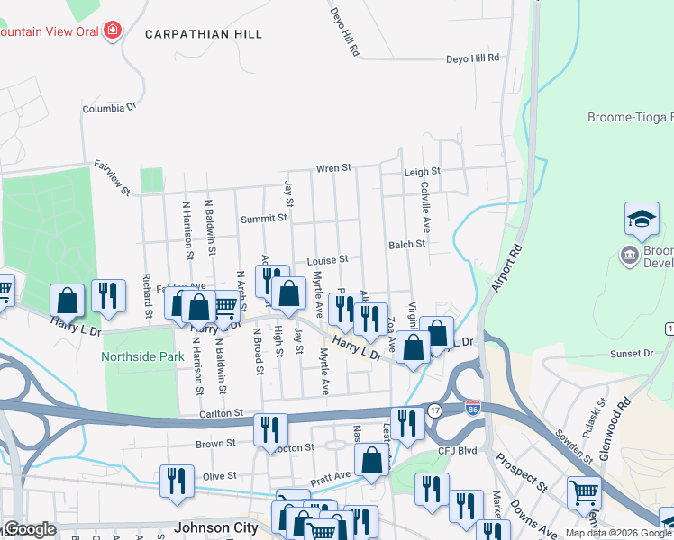 map of restaurants, bars, coffee shops, grocery stores, and more near 81 Pearl Avenue in Johnson City