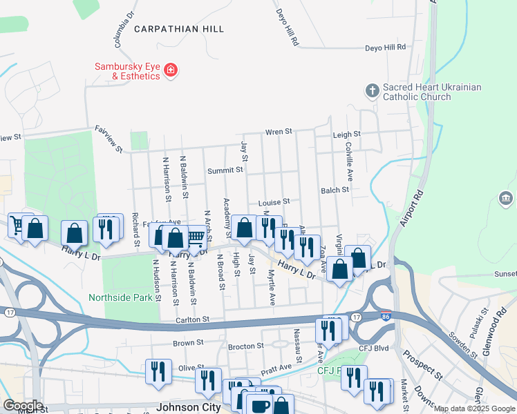 map of restaurants, bars, coffee shops, grocery stores, and more near 56 Louise Street in Johnson City