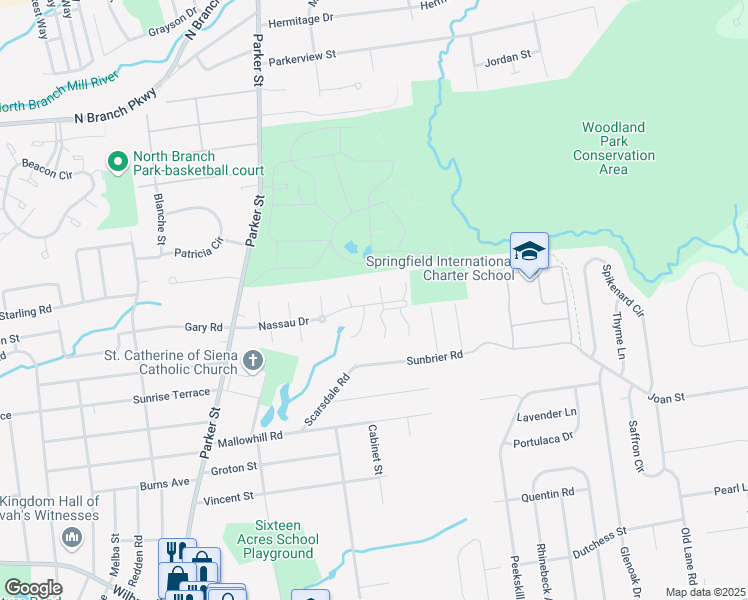 map of restaurants, bars, coffee shops, grocery stores, and more near 542 Nassau Drive in Springfield