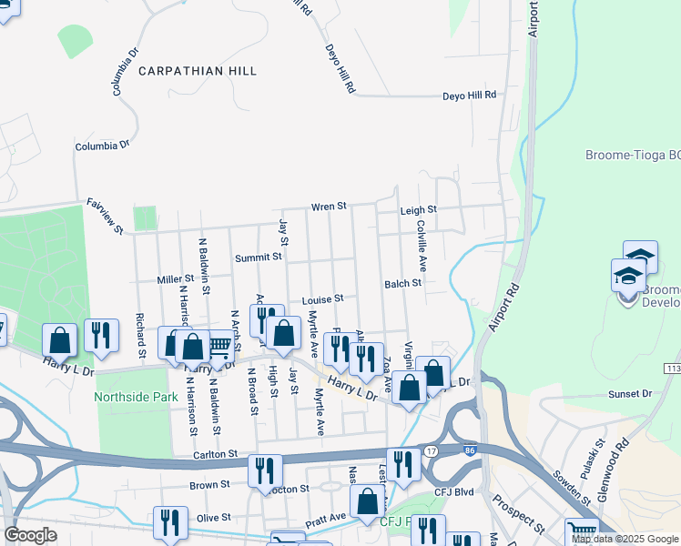map of restaurants, bars, coffee shops, grocery stores, and more near 124 Pearl Ave in Johnson City