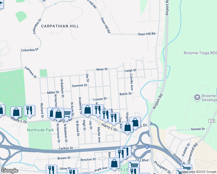 map of restaurants, bars, coffee shops, grocery stores, and more near 124 Pearl Ave in Johnson City
