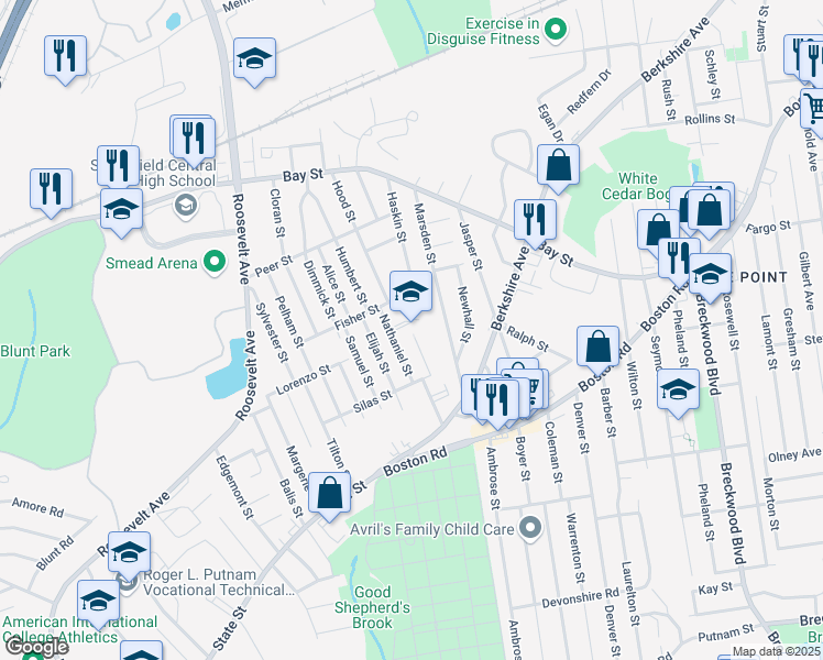 map of restaurants, bars, coffee shops, grocery stores, and more near 40 Nathaniel Street in Springfield