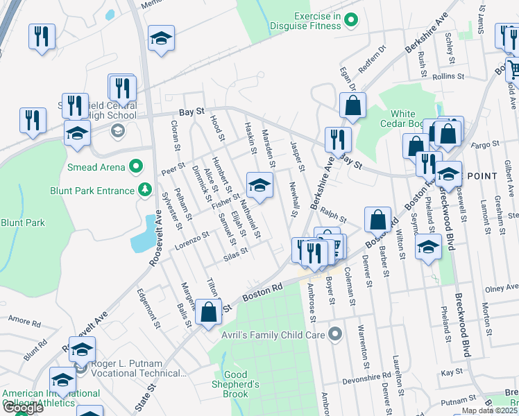 map of restaurants, bars, coffee shops, grocery stores, and more near 20 Lydia Street in Springfield