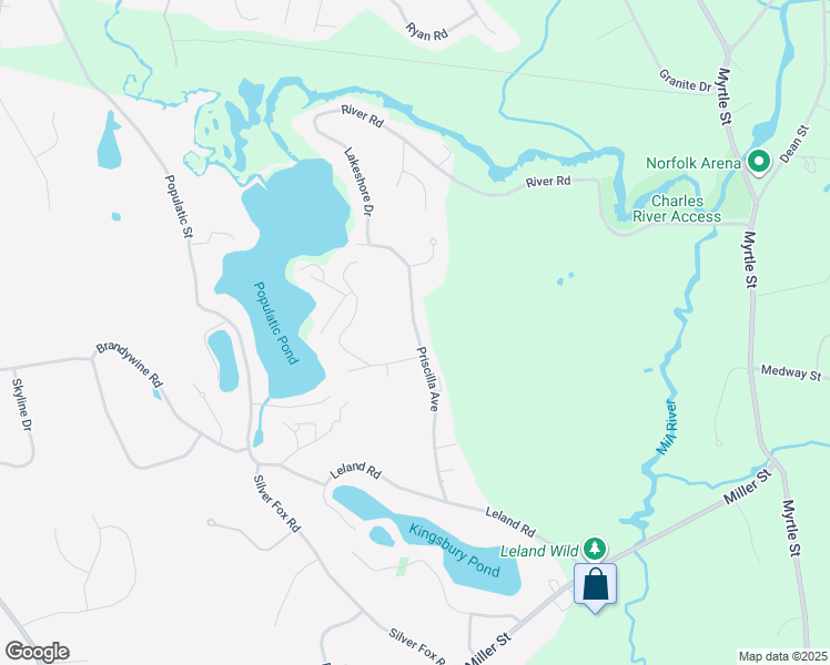 map of restaurants, bars, coffee shops, grocery stores, and more near 115 Priscilla Avenue in Norfolk
