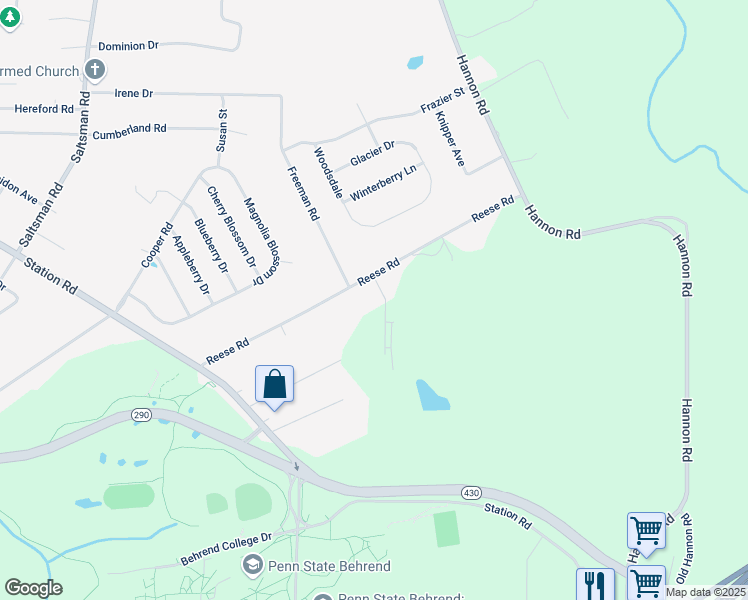 map of restaurants, bars, coffee shops, grocery stores, and more near 4851 Reese Road in Erie