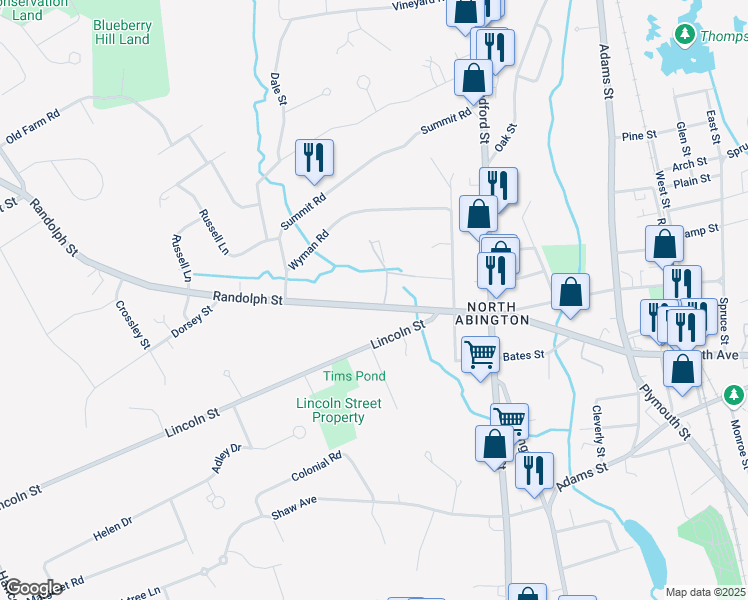 map of restaurants, bars, coffee shops, grocery stores, and more near 137 Randolph Street in Abington