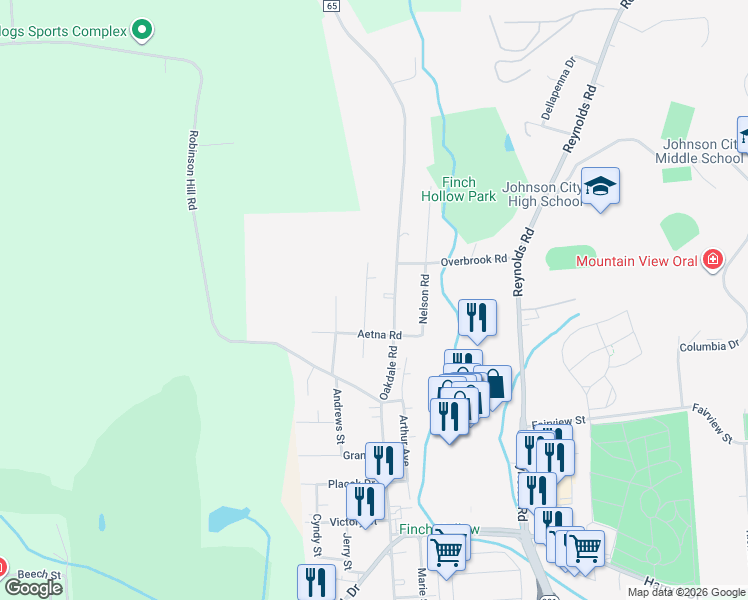map of restaurants, bars, coffee shops, grocery stores, and more near 514 Ivy Pl in Johnson City