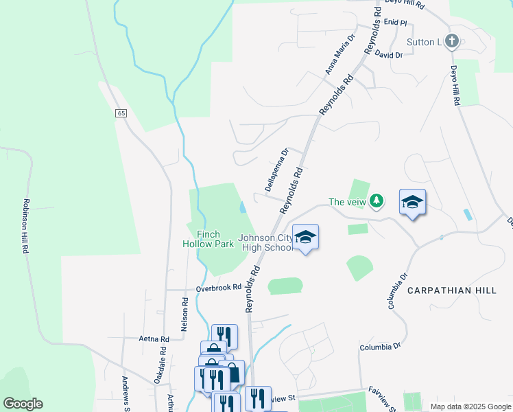 map of restaurants, bars, coffee shops, grocery stores, and more near 508 Tokos Grove Road in Johnson City