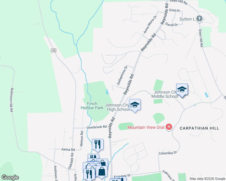 map of restaurants, bars, coffee shops, grocery stores, and more near 508 Tokos Grove Road in Johnson City