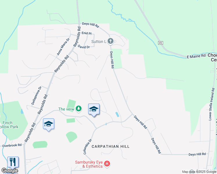 map of restaurants, bars, coffee shops, grocery stores, and more near 58 Rose Lane in Johnson City
