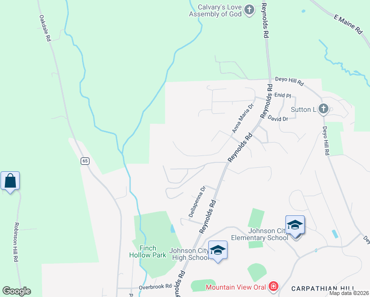 map of restaurants, bars, coffee shops, grocery stores, and more near 1035 Anna Maria Drive in Johnson City