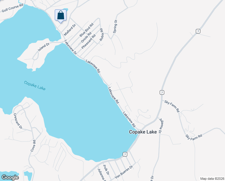 map of restaurants, bars, coffee shops, grocery stores, and more near 403 Lakeview Road in Craryville