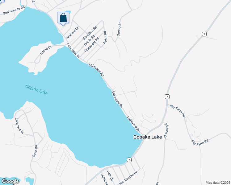 map of restaurants, bars, coffee shops, grocery stores, and more near 403 Lakeview Road in Craryville