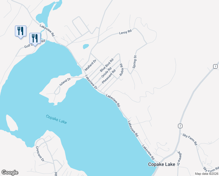 map of restaurants, bars, coffee shops, grocery stores, and more near 343 Lakeview Rd in Copake Lake