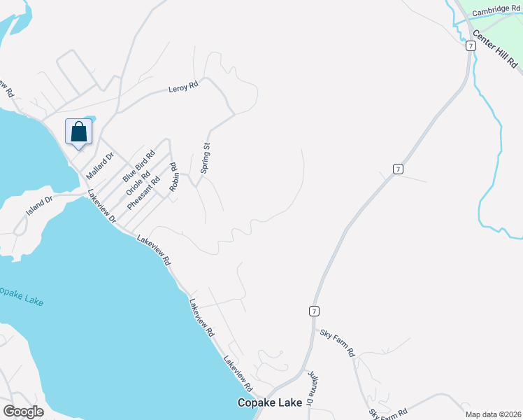 map of restaurants, bars, coffee shops, grocery stores, and more near 109 Lake Ridge Lane in Copake Lake