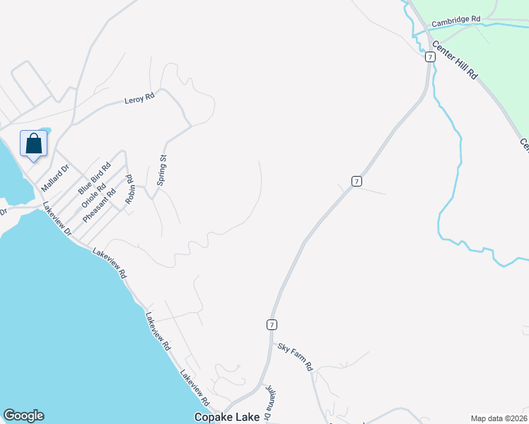 map of restaurants, bars, coffee shops, grocery stores, and more near 156 Lake Ridge Lane in Copake Lake