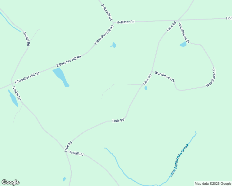 map of restaurants, bars, coffee shops, grocery stores, and more near 241 Pine Tree Dr in Owego