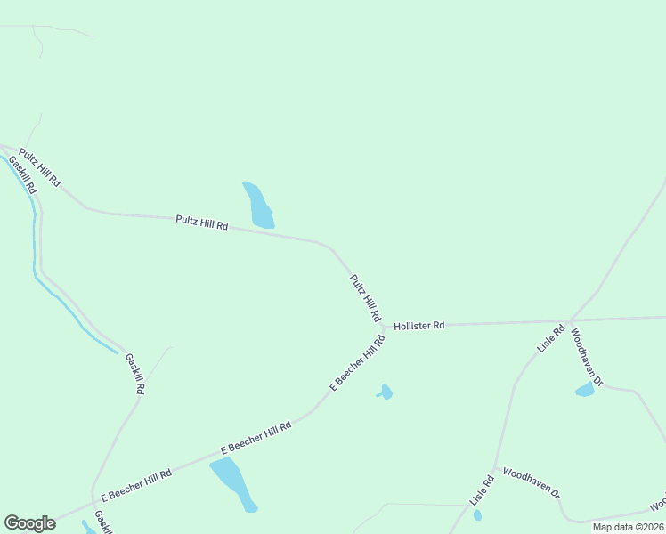 map of restaurants, bars, coffee shops, grocery stores, and more near 903-909 Pultz Hill Rd in Owego