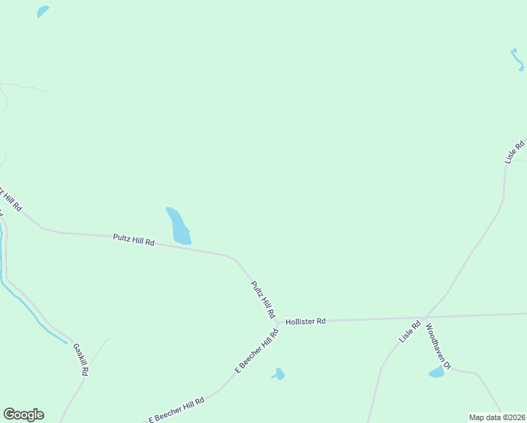 map of restaurants, bars, coffee shops, grocery stores, and more near 903 Pultz Hill Rd in Owego