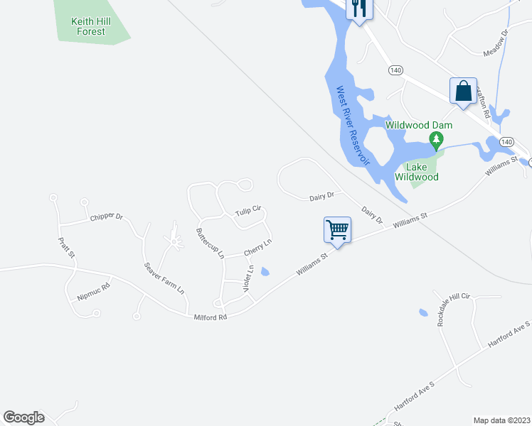 map of restaurants, bars, coffee shops, grocery stores, and more near 40 Tulip Circle in Grafton