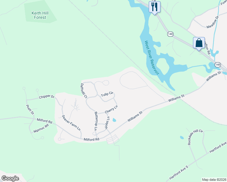 map of restaurants, bars, coffee shops, grocery stores, and more near 31 Tulip Circle in Grafton