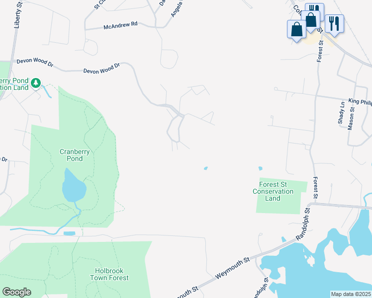 map of restaurants, bars, coffee shops, grocery stores, and more near 179 Tyson Commons Lane in Braintree