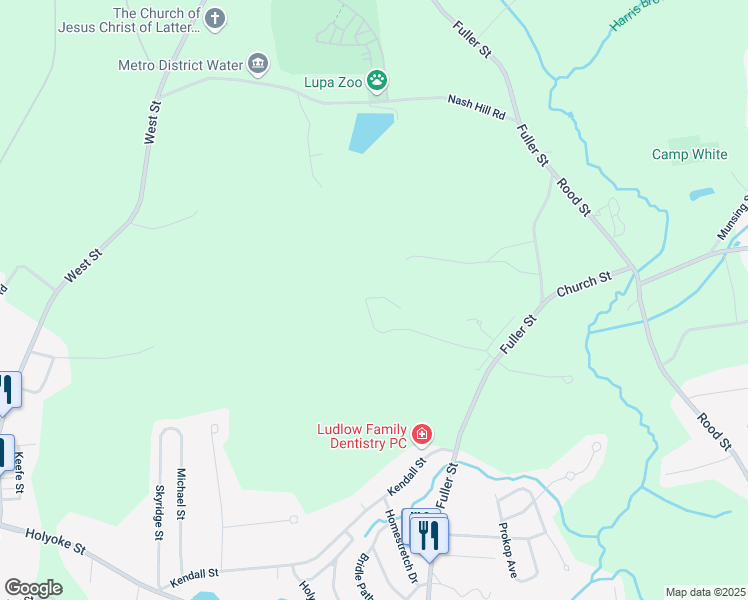 map of restaurants, bars, coffee shops, grocery stores, and more near 399 Fuller Street in Ludlow