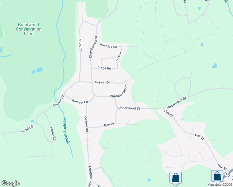 map of restaurants, bars, coffee shops, grocery stores, and more near 412 Chamberlain Street in Holliston