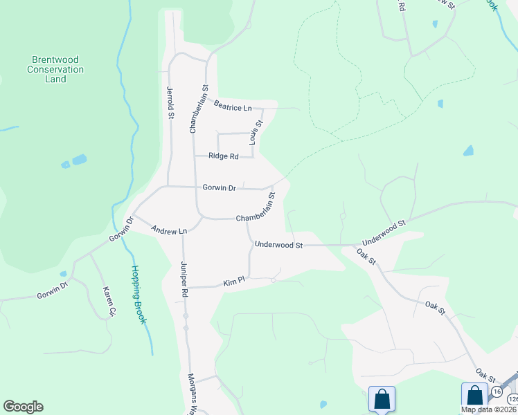 map of restaurants, bars, coffee shops, grocery stores, and more near 441 Chamberlain Street in Holliston