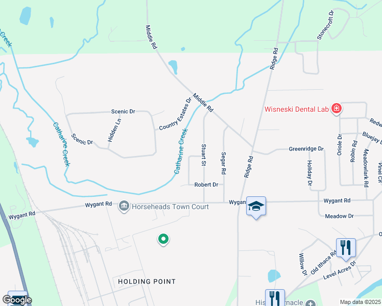map of restaurants, bars, coffee shops, grocery stores, and more near 229 Sunnyfield Dr in Horseheads