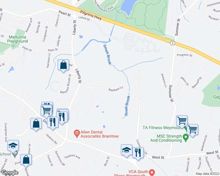 map of restaurants, bars, coffee shops, grocery stores, and more near 302 Matthew Circle in Braintree