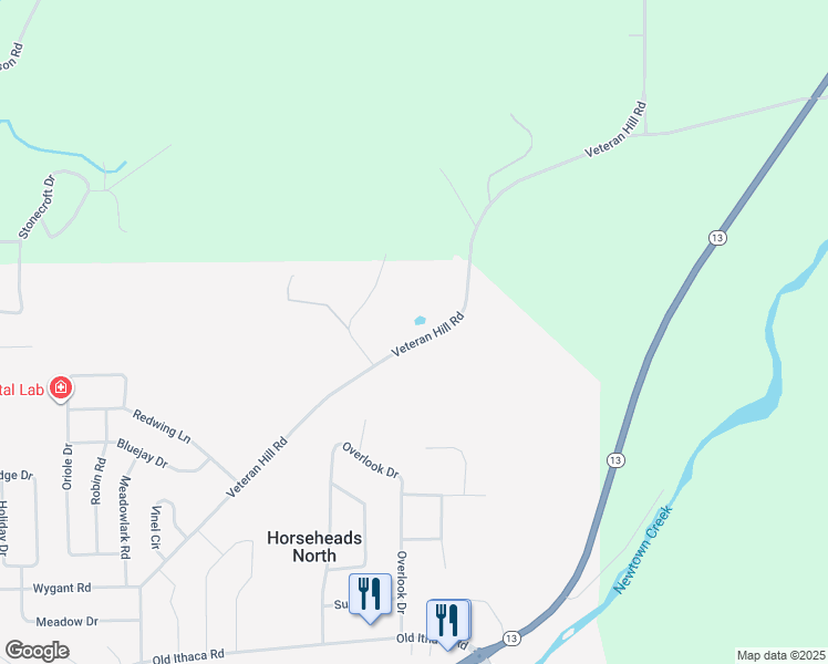 map of restaurants, bars, coffee shops, grocery stores, and more near 151 Veteran Hill Road in Horseheads