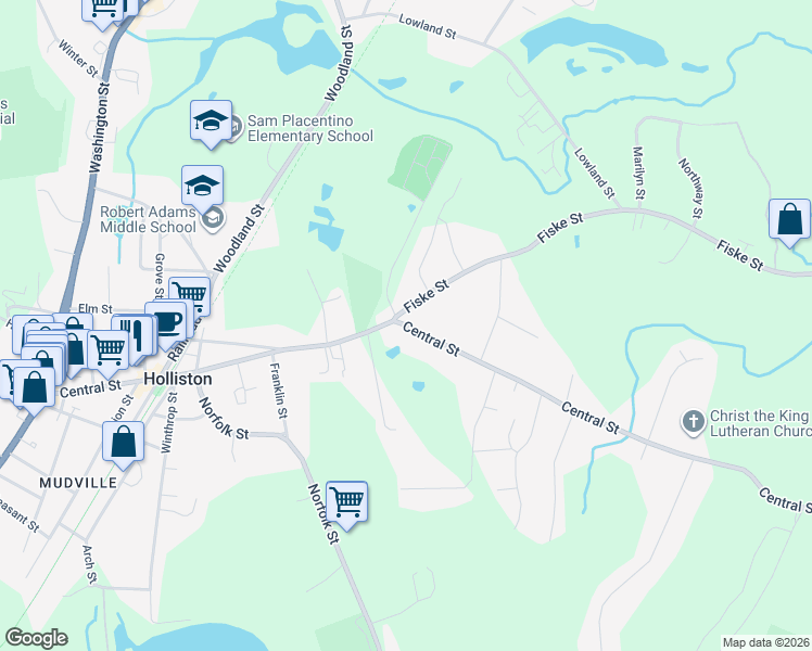 map of restaurants, bars, coffee shops, grocery stores, and more near 343 Central Street in Holliston