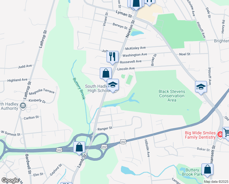 map of restaurants, bars, coffee shops, grocery stores, and more near 153 Newton Street in South Hadley
