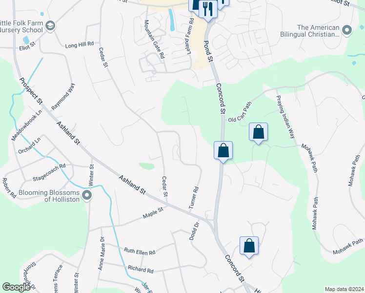 map of restaurants, bars, coffee shops, grocery stores, and more near 171 Turner Road in Holliston