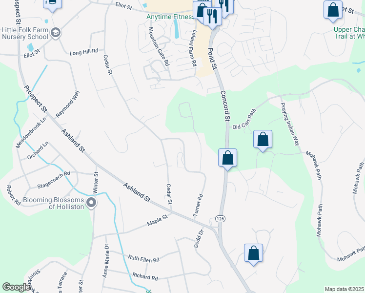map of restaurants, bars, coffee shops, grocery stores, and more near 171 Turner Road in Holliston