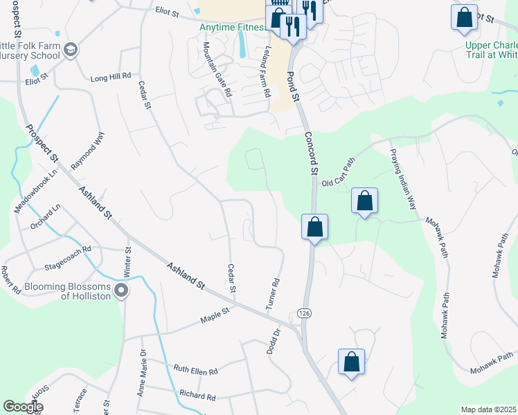map of restaurants, bars, coffee shops, grocery stores, and more near 171 Turner Road in Holliston