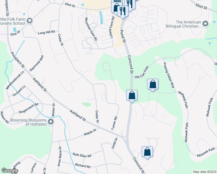 map of restaurants, bars, coffee shops, grocery stores, and more near 171 Turner Road in Holliston