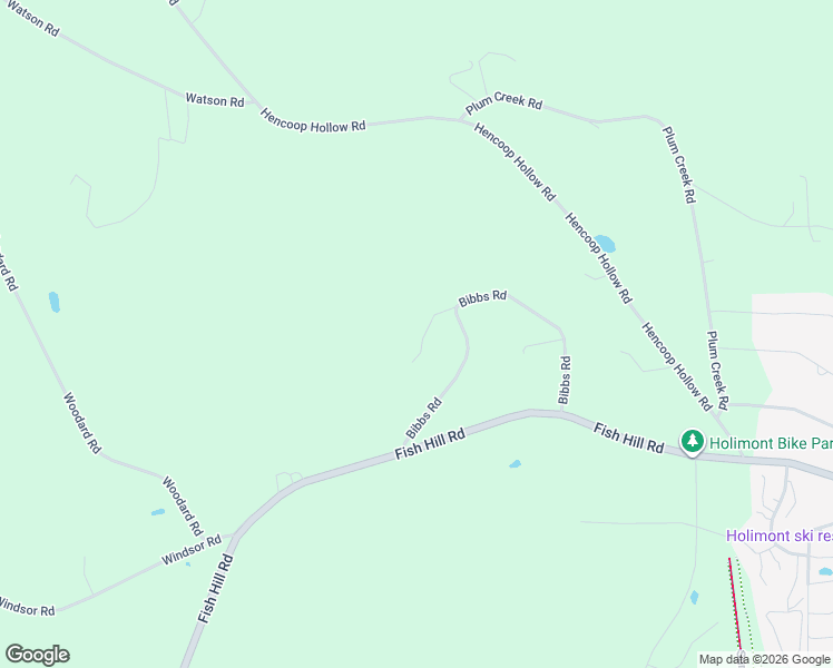 map of restaurants, bars, coffee shops, grocery stores, and more near 7313 Bibbs Road in Ellicottville