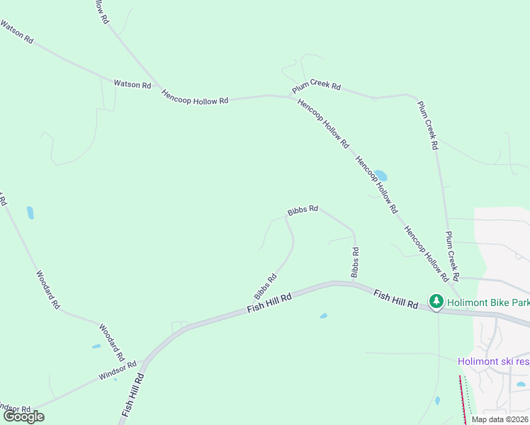 map of restaurants, bars, coffee shops, grocery stores, and more near 7313 Bibbs Road in Ellicottville