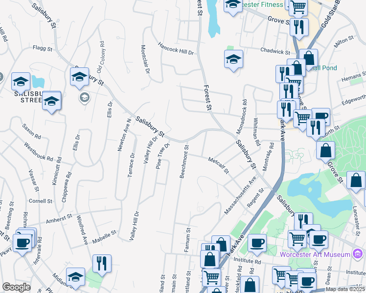 map of restaurants, bars, coffee shops, grocery stores, and more near 315 Salisbury Street in Worcester