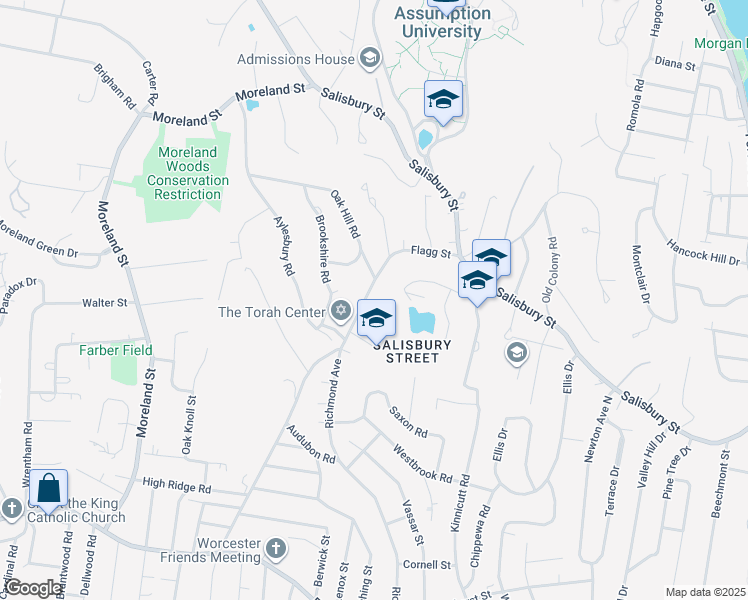 map of restaurants, bars, coffee shops, grocery stores, and more near 127 Flagg Street in Worcester